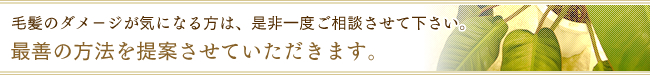 毛髪のダメ－ジが気になる方は、是非一度ご相談させて下さい。最善の方法を提案させていただきます。